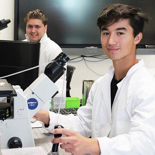 Two students work with microscopes in Dr. Lee's lab.